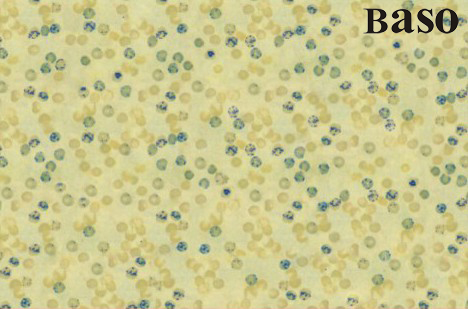 网织红细胞染色液